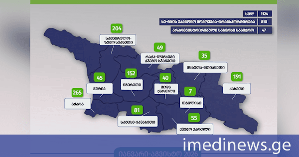 გარემოსდაცვითი ზედამხედველობის დეპარტამენტმა 8 თვეში უკანონო ტყითსარგებლობის 1124 ფაქტი გამოავლინა