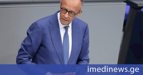 ფრიდრიხ მერცმა განაცხადა, რომ „ალტერნატივა გერმანიისთვის“ მიერ წარმოდგენილი „რემიგრაციის“ გეგმა ეთნიკური წმენდის ტოლფასია და გერმანიის ეკონომიკას გაანადგურებს