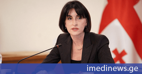 მაკა ბოჭორიშვილი კოსის განცხადებაზე: სამწუხაროდ, ვხედავთ, რომ ევროპელი ბიუროკრატები ძალიან ხშირად მიდრეკილები არიან თვითიზოლაციისკენ და ამისკენ მოუწოდებენ სხვებსაც