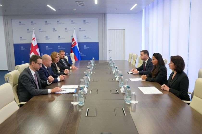 საქართველოს ეკონომიკისა და მდგრადი განვითარების მინისტრი მარიამ ქვრივიშვილი სლოვაკეთის რესპუბლიკის ტურიზმისა და სპორტის მინისტრს, რუდოლფ ჰულიაკს შეხვდა