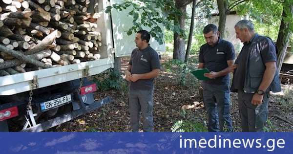 შიდა ქართლში ხე-ტყის უკანონო მოპოვების ფაქტი გამოვლინდა