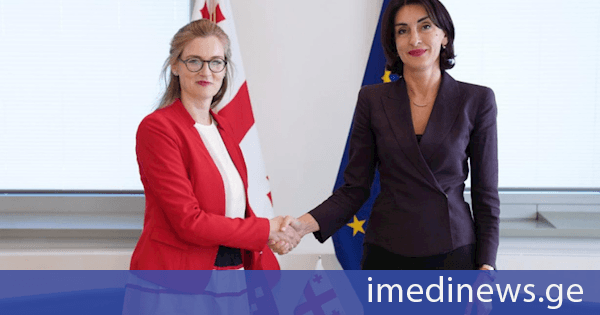 მაკა ბოჭორიშვილმა საქართველოში შვეიცარიის კონფედერაციის ახლად დანიშნულ ელჩთან ფაბიენ ვასერმანთან გაცნობითი შეხვედრა გამართა