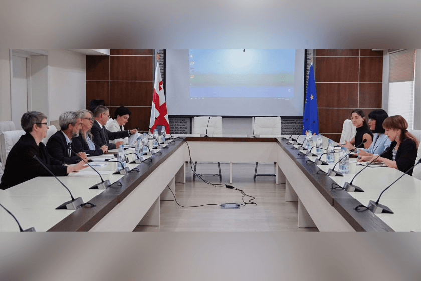 თეა ახვლედიანმა წითელი ჯვრის საერთაშორისო კომიტეტის (ICRC) ევროპისა და ცენტრალური აზიის ოპერაციების კოორდინატორ დენა ფიშერთან შეხვედრა გამართა