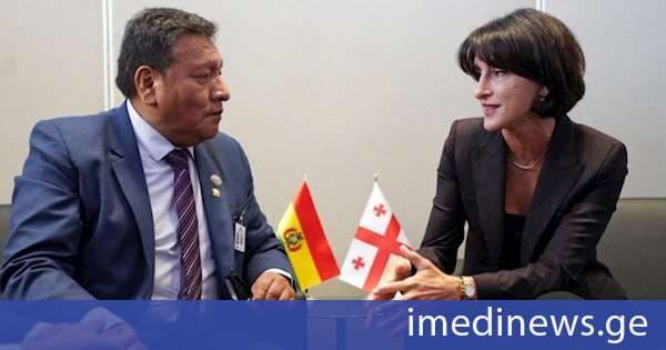მაკა ბოჭორიშვილმა ბოლივიის საგარეო საქმეთა მინისტრთან შეხვედრა გამართა