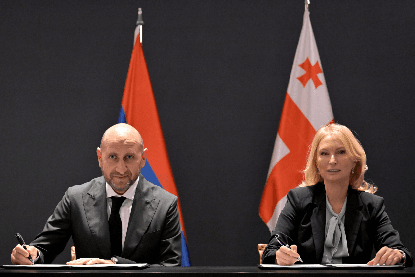 ნათია თურნავა სომხეთის ცენტრალური ბანკის პრეზიდენტს მარტინ გალსტიანს შეხვდა