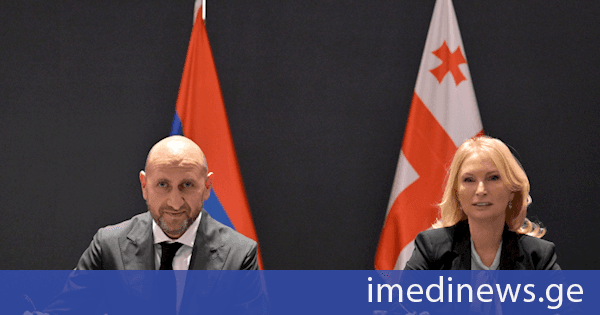 ნათია თურნავა სომხეთის ცენტრალური ბანკის პრეზიდენტს მარტინ გალსტიანს შეხვდა