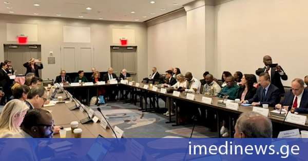 მიხეილ სარჯველაძე გაეროს გენერალური ასამბლეის ფარგლებში ინსულტის მართვის საკითხზე გამართულ შეხვედრაზე სიტყვით გამოვიდა