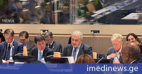 საქართველო საყოველთაო ჯანმრთელობის დაცვის საკითხებზე მეგობართა ჯგუფის თანათავმჯდომარე ქვეყანაა - მიხეილ სარჯველაძე გაეროს გენერალური ასამბლეის ფარგლებში გამართულ შეხვედრაზე სიტყვით გამოვიდა