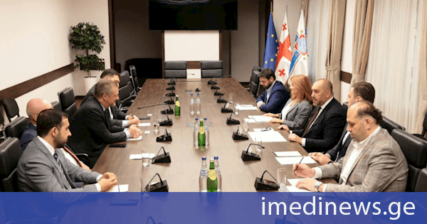 თბილისის საკრებულოში საერთაშორისო პარალიმპიური კომიტეტისა და IBSA-ს ხელმძღვანელ პირებთან შეხვედრა გაიმართა