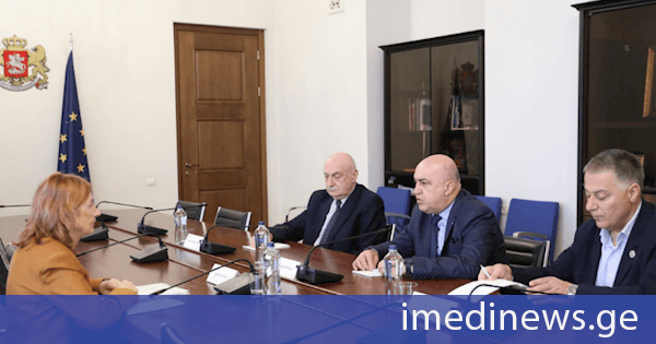ჯანმრთელობის დაცვისა და სოციალურ საკითხთა კომიტეტის წევრები სკოლის ექიმთა ასოციაციის პრეზიდენტს შეხვდნენ