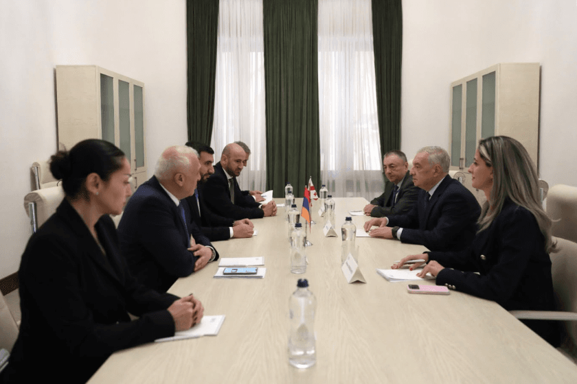 გიორგი ვოლსკი სომხეთის ეროვნული ასამბლეის ვიცე-სპიკერ ვაჰან ალეკსანიანს შეხვდა