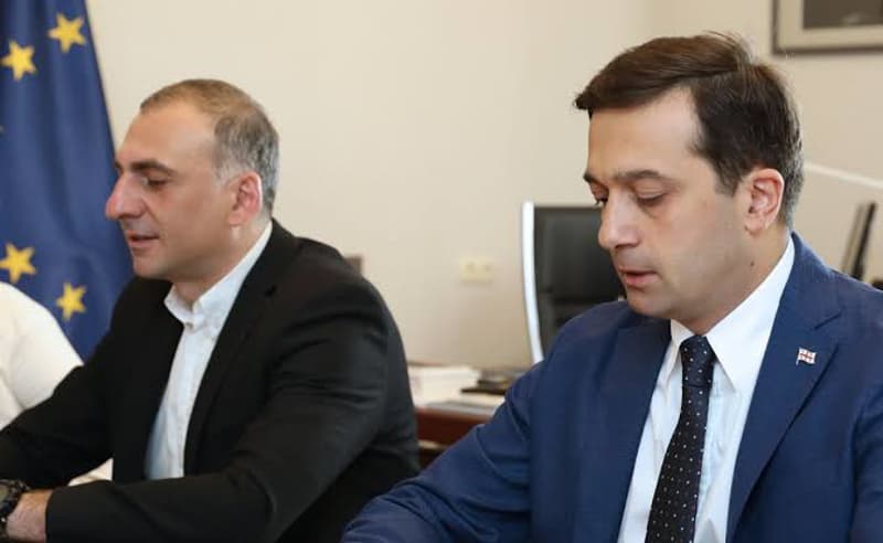 იოსელიანმა სააპელაციოს  ელისაშვილის საქმეზე სასამართლოს მეგობრის მოსაზრებით მიმართა