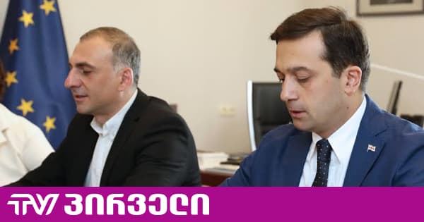იოსელიანმა სააპელაციოს ელისაშვილის საქმეზე სასამართლოს მეგობრის მოსაზრებით მიმართა | TV პირველი - ახალი ამბების პორტალი