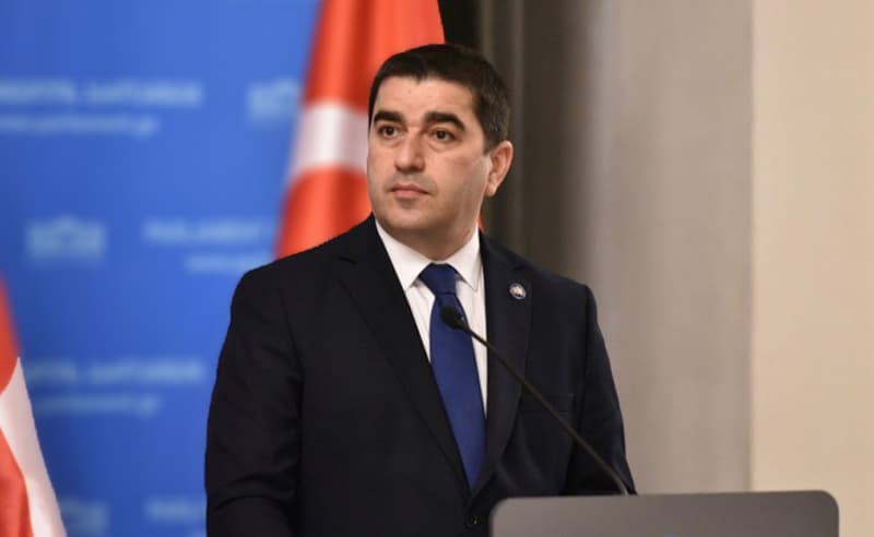 პაპუაშვილი, ვისი შეურაცხყოფის საბაბით ვახო სანაიას პატიმრობა შეეფარდა, პირველ კომენტარს აკეთებს