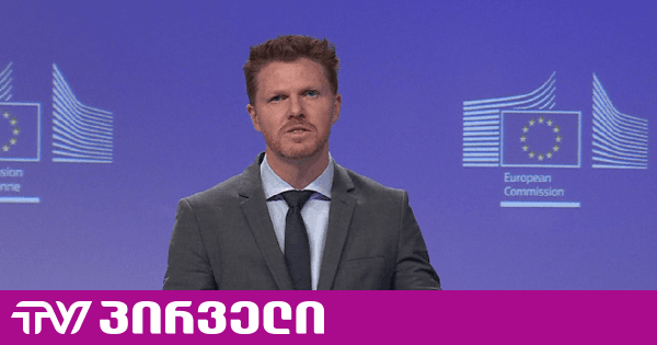 ევროკავშირი ყურადღებით აკვირდება საქართველოში ხუთი ძირითადი ოპოზიციური პარტიის აკრძალვის შესახებ სარჩელებს | TV პირველი - ახალი ამბების პორტალი