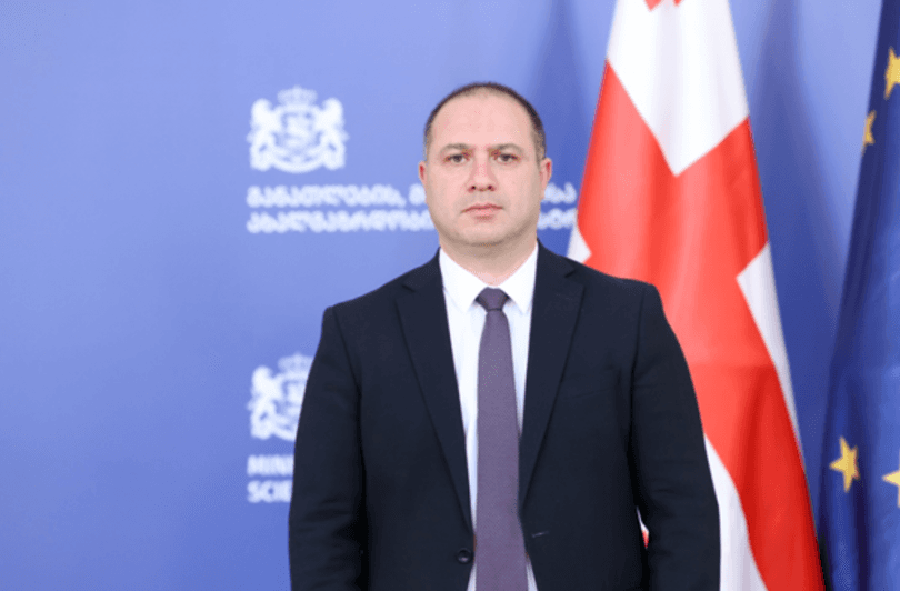 მიქანაძე: ვებრძვი უდიპლომო სასიძოს სინდრომს