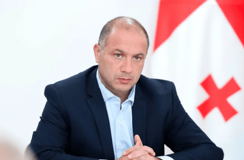 მიქანაძე: გვინდა, პროფესიული სწავლების გარკვეული პროგრამები აღიარებული იყოს უმაღლესის მიმართულებებში