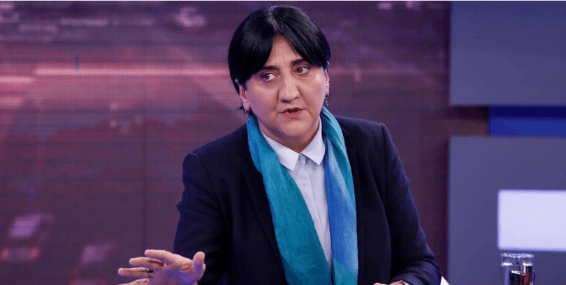 ინაშვილის თქმით ღარიბაშვილთან პოლიტიკური ალიანსი პოლიტიკურ ველზე სიახლეს შემოიტანს