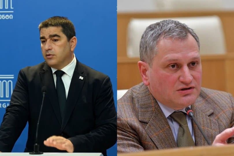 პაპუაშვილი: ევროსაბჭოს მიერ პოლიტიკური სწავლების სკოლის დაფინანსება უნდა გაირკვეს