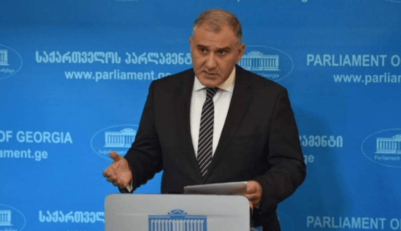 სარჯველაძე: ბაღებში ინტოქსიკაციის გამო 100-ზე მეტი ბავშვის ჰოსპიტალიზაცია გახდა საჭირო