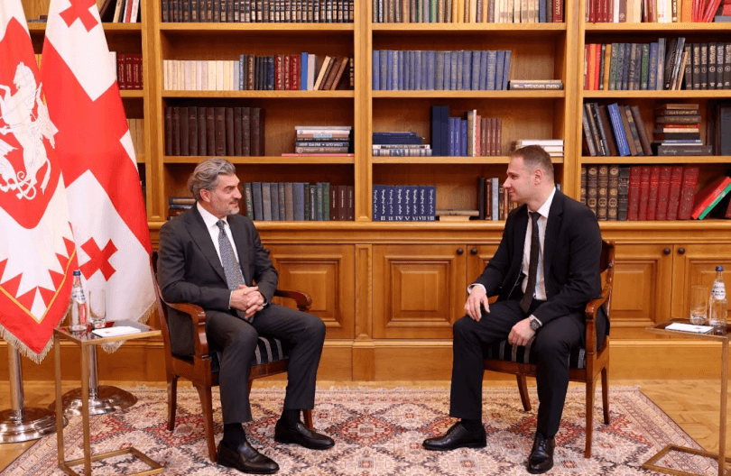 ყაველაშვილმა მოსამართლედ ზურაბიშვილის კონსტიტუციის დამრღვევად მცნობის შვილი დანიშნა
