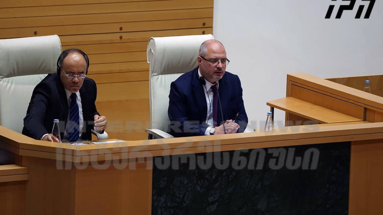 მთავრობამ დავა წააგო სტრასბურგში იმის გამო, რომ გავრილოვის ღამის ერთი ეპიზოდის გამოძიება გააჭიანურა - Netgazeti