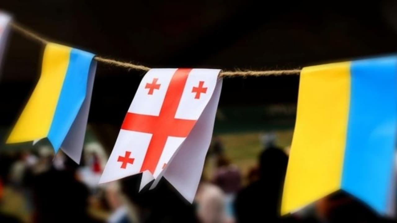 საქართველოში 27 000-ზე მეტი უკრაინელი ლტოლვილი ცხოვრობს — დმიტრო ბერეჟნი - Netgazeti