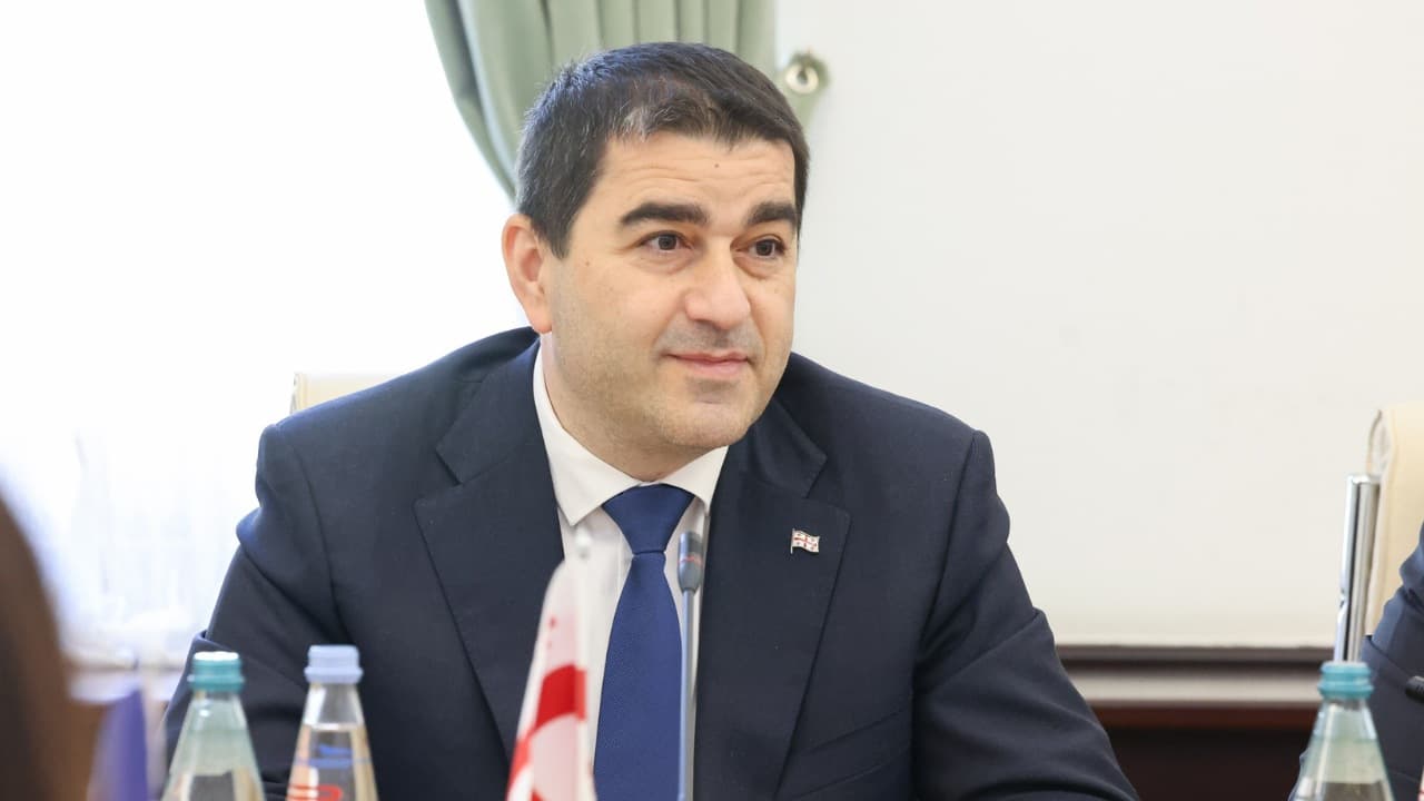ნიანგის ცრემლები - პაპუაშვილი 16 ქყვეყნის კრიტიკულ განცხადებაზე საქართველოში მედიის თავისუფლების შესახებ - Netgazeti