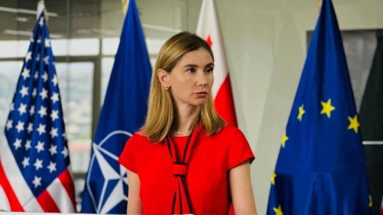 მოულოდნელი იყო და ჩემთვის უკიდურესად სამწუხაროა - ბოკუჩავა სააკაშვილის განცხადებაზე - Netgazeti