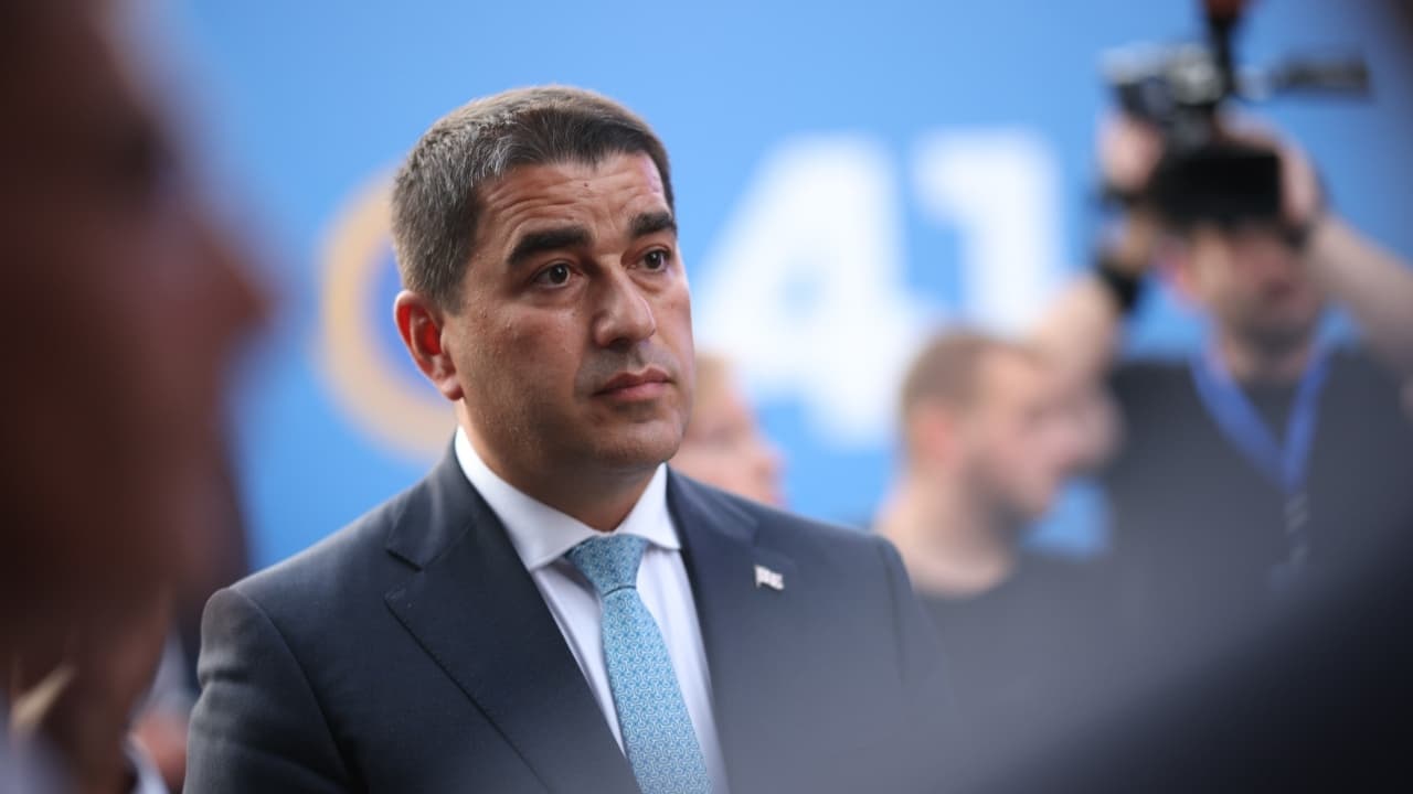 ასეთ ევროკავშირში ჩვენ არაფერი გვესაქმება - პაპუაშვილი - Netgazeti