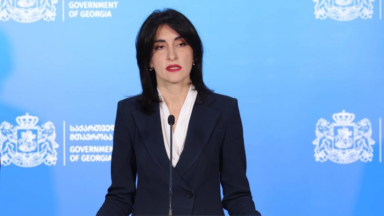 მცდელობაა, რომ საერთაშორისო ინსტიტუტები გამოყენებულ იქნას პოლიტიკური მიზნებისთვის - ბოჭორიშვილი PACE-ს რეზოლუციაზე - Netgazeti
