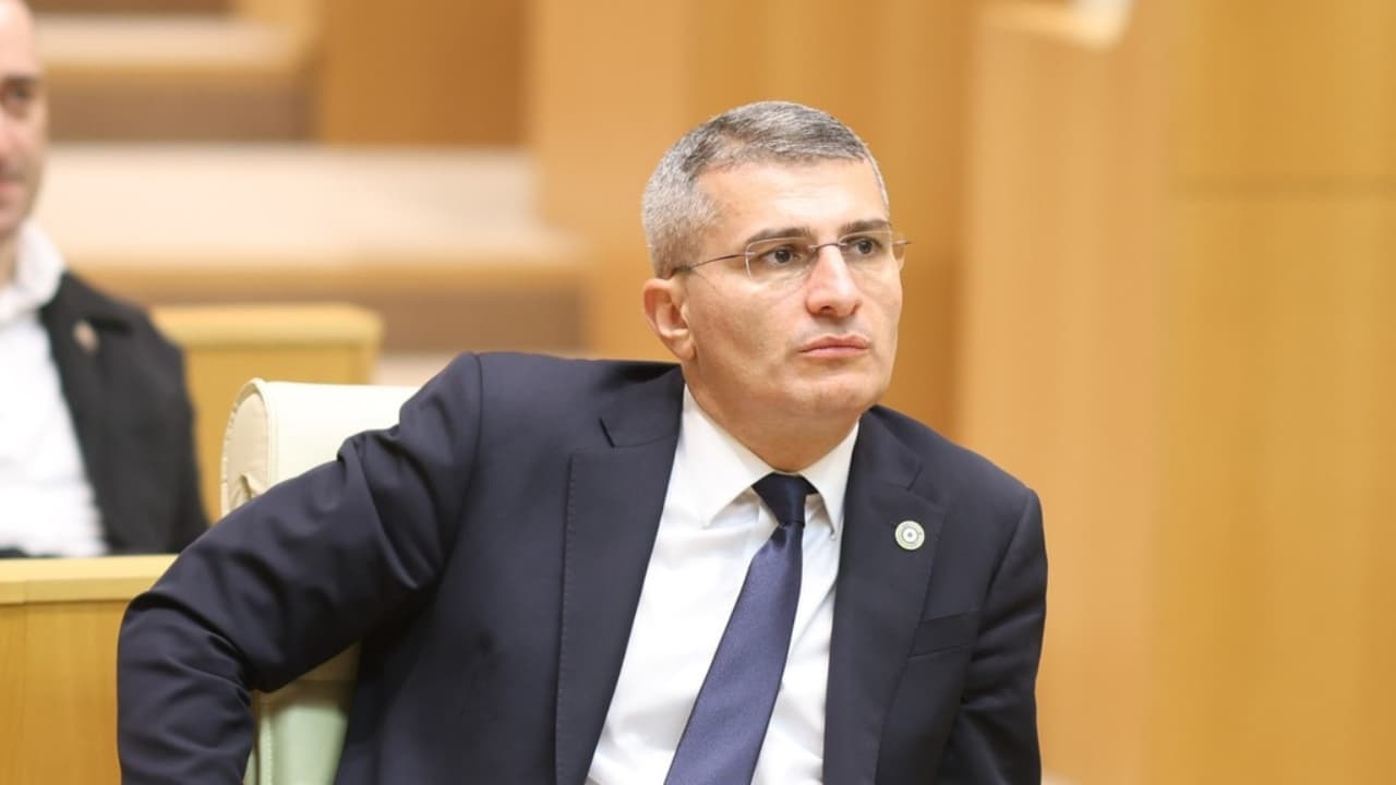 სადაც პრეზიდენტის დისკრეციული უფლებამოსილებაა, შეიძლება რეკომენდაციაც ეზედმეტოს - მდინარაძე შეწყალებაზე - Netgazeti