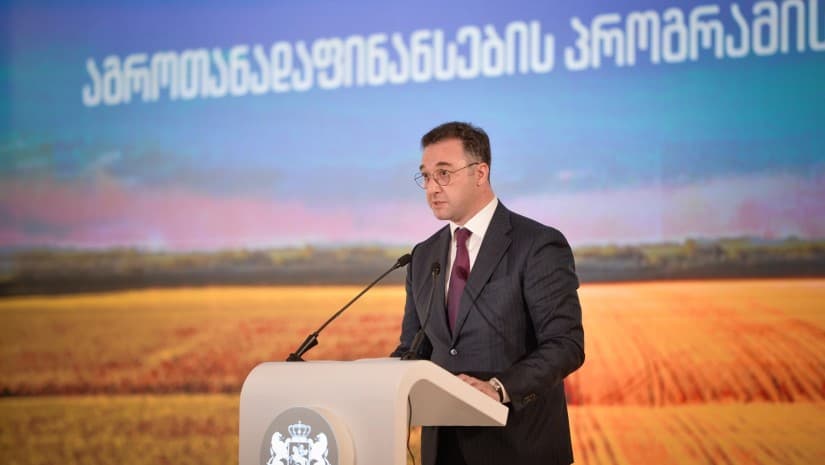 "ხშირად ფინანსდებოდა პროექტები, რომლებიც არ ვიცოდით, რა გავლენას ახდენდა"|სამინისტროს ₾1.8-მილიარდიანი "აღიარება"