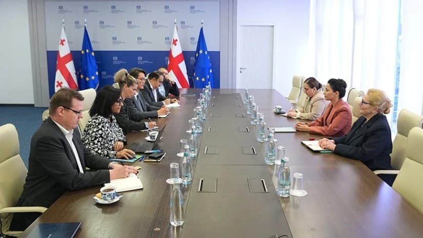 მარიამ ქვრივიშვილი დიდი ჰესების დაფინანსების საკითხზე ADB-ის დელეგაციას შეხვდა