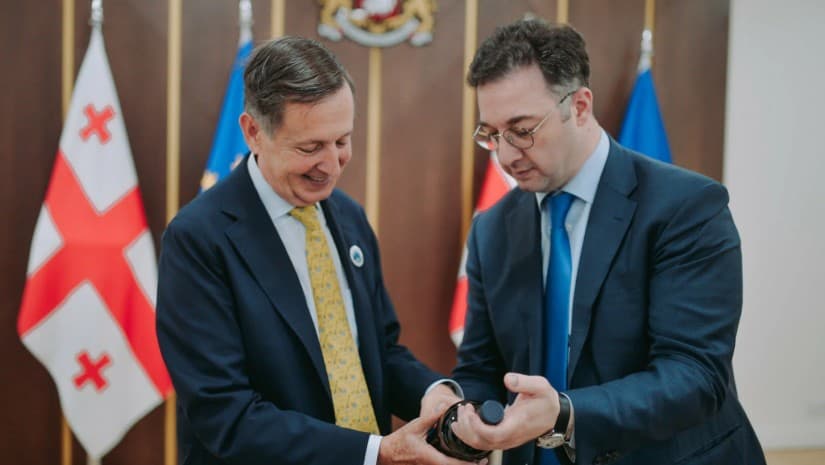 მოცვი სულ უფრო მეტად ყალიბდება საქართველოს ერთ-ერთ მნიშვნელოვან საექსპორტო პროდუქტად - სონღულაშვილი