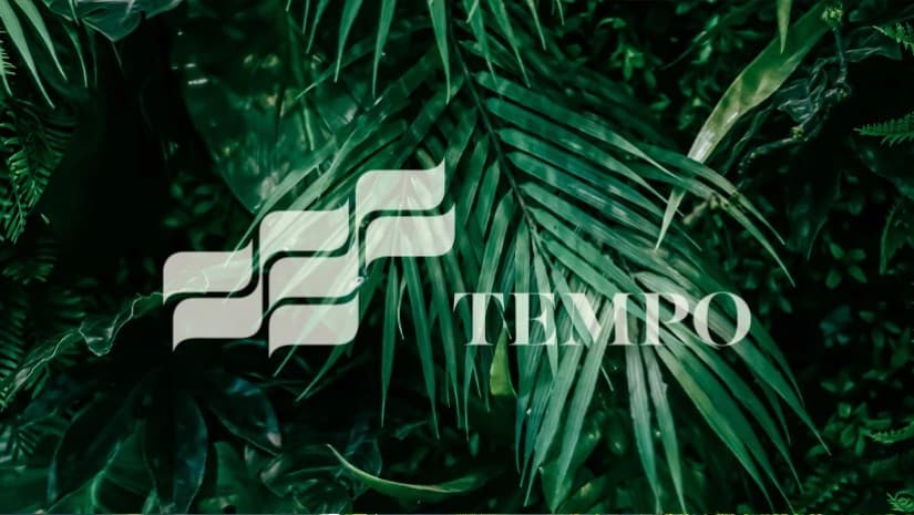 TEMPO: წარმატებული ისტორია გრძელდება