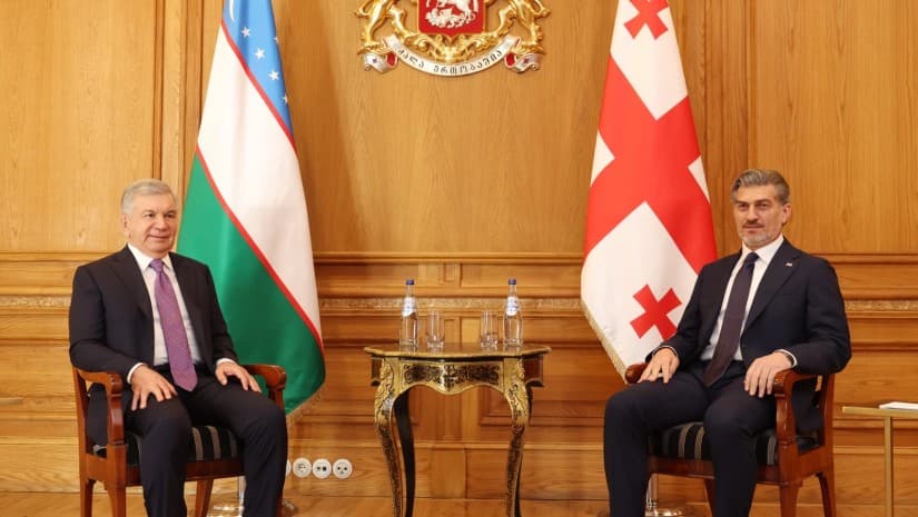 მიხეილ ყაველაშვილი უზბეკეთის პრეზიდენტს შეხვდა