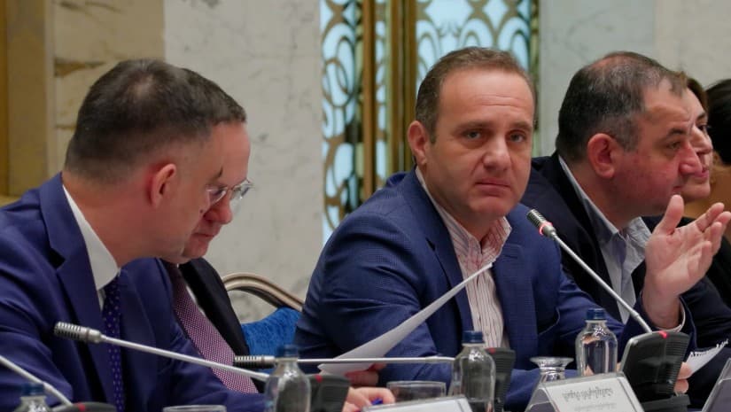უცხოელების დასაქმებისთვის კვოტების შეთანხმებაზე პრობლემა უფრო დიდ კომპანიებს შეექმნება - ლევან ვეფხვაძე