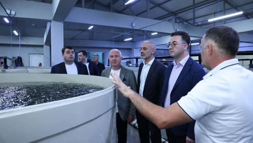 „აკვაკულტურა სოფლის მეურნეობის ერთ-ერთი პერსპექტიული მიმართულებაა" - დავით სონღლაშვილი