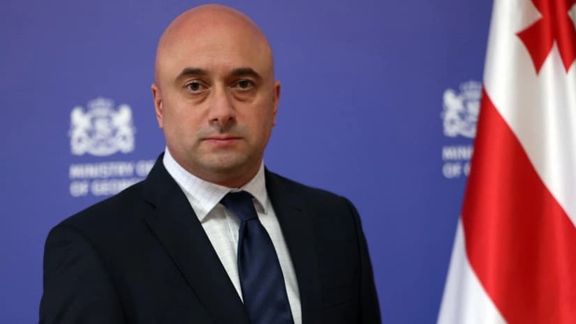 რა ქონებას ფლობს კულტურის მინისტრის მოვალეობის შემსრულებლად დანიშნული მიხეილ კიკნაძე?