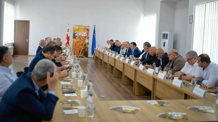 გურჯაანში რთველის საკოორდინაციო შტაბი გაიხსნა