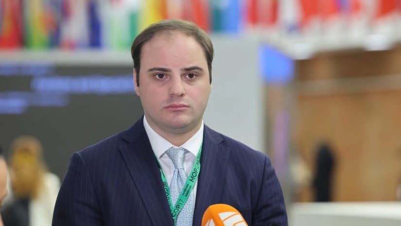 მარტო ეკონომიკური ზრდა საკმარისი არ არის, გათვალისწინებული უნდა იყოს ყველა საერთაშორისო ხელშეკრულებით მიღებული სტანდარტი - ჟორჟოლიანი