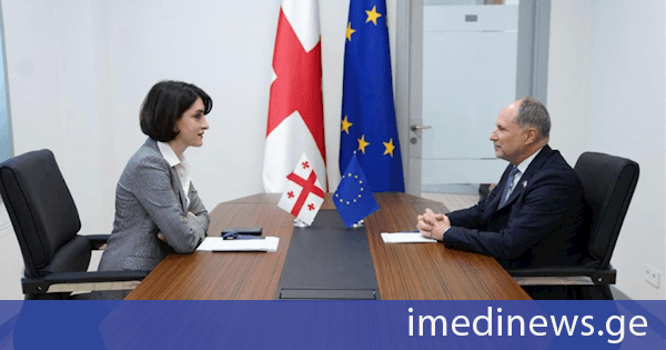 საგარეო საქმეთა მინისტრის და ევროკავშირის ელჩის შეხვედრა „ქრონიკის“ სიუჟეტში