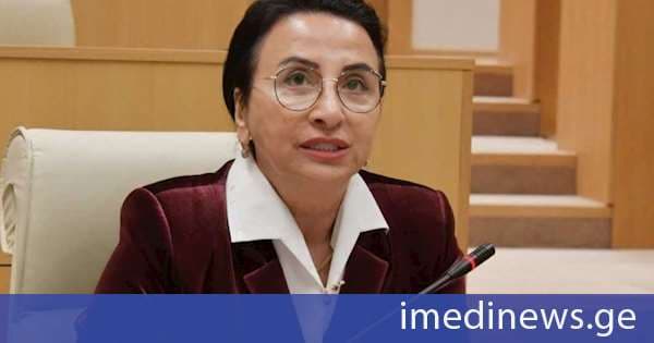 რიმა ბერაძე: რამდენიმეწლიანი წარუმატებელი მცდელობების მიუხედავად, ბოლო პერიოდში ისევ გააქტიურდა ევრო ბიუროკრატების ტენდენციური დამოკიდებულება ჩვენი ქვეყნის მიმართ