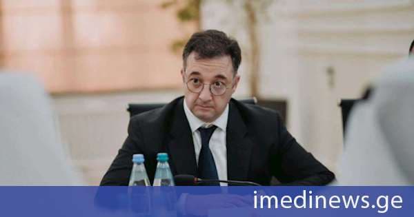 დავით სონღულაშვილი: აქამდე პროგრამები იყო ფრაგმენტული, ახლა ხდება ამ პროგრამების გამთლიანება და გაერთიანება