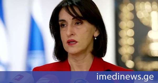 მაკა ბოჭორიშვილი აცხადებს, რომ უკრაინულ მხარესთან დღევანდელ შეხვედრაზე საუბარი ქვეყნებს შორის დიპლომატიურ ურთიერთობებს და ელჩების საკითხსაც შეეხო
