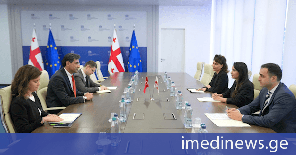 მარიამ ქვრივიშვილი თურქეთის რესპუბლიკის ელჩს, მუსტაფა თურქერ არის შეხვდა