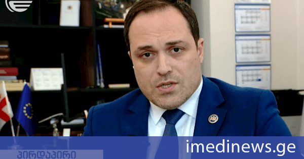გიორგი გაბუნია: ვფიქრობ, პრეზიდენტ ზელენსკისთვის დიდი პატივი იყო პრემიერ-მინისტრ კობახიძესთან საუბარი