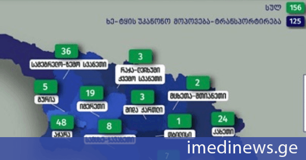 გარემოსდაცვითი ზედამხედველობის დეპარტამენტმა აპრილში უკანონო ტყითსარგებლობის 156 ფაქტი გამოავლინა
