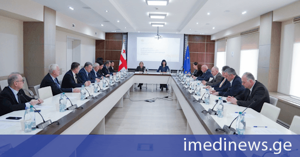 ირინე წაქაძემ სამოქალაქო თანასწორობისა და ინტეგრაციის სამთავრობო კომისიის გაფართოებული სხდომაში მიიღო მონაწილეობა